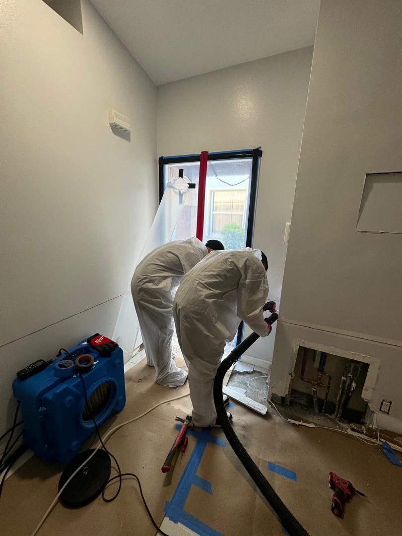 Damage Pros mold remediation team in full PPE